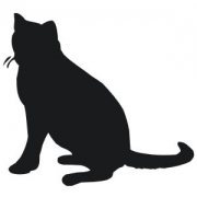Russian Blue Cat