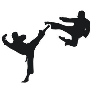 Martial Arts No.2