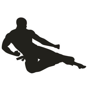 Martial Arts No.1