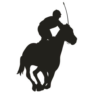 Polo Sport