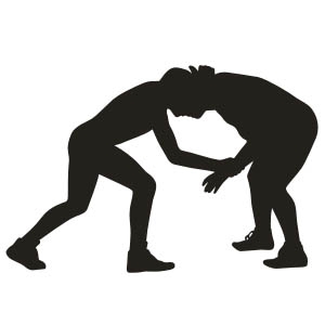 Wrestling No.3