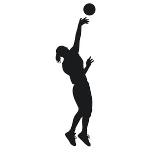 Volleyball No.1
