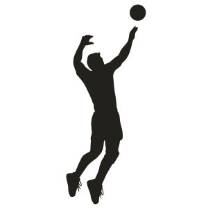 Volleyball No.2